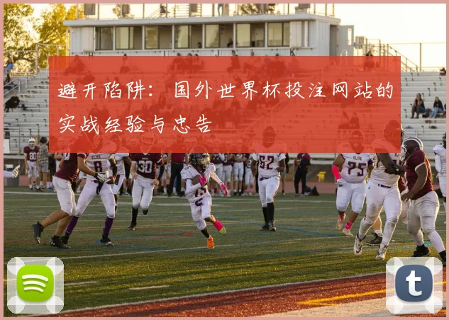 避开陷阱：国外世界杯投注网站的实战经验与忠告